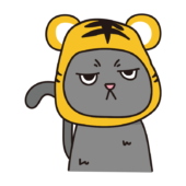 トラのかぶりもので不機嫌な猫（グレー）