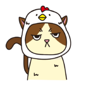 鳥のかぶりもので不機嫌な猫（ハチワレ）