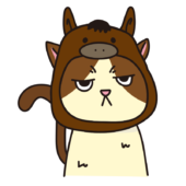 馬のかぶりもので不機嫌な猫（ハチワレ）