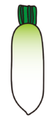 大根1