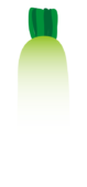 大根2