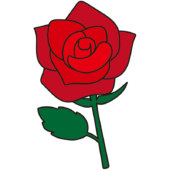 1本の赤いバラ1