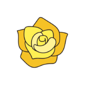 黄色いバラの花1