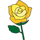 1本の黄色いバラ1