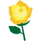 1本の黄色いバラ2