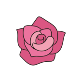 ピンクのバラの花1