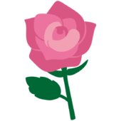 1本のピンクのバラ2