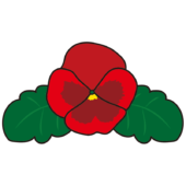 赤いパンジーの花1