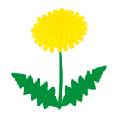 1本のタンポポ2