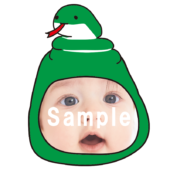 【顔はめ】蛇のかぶりもの