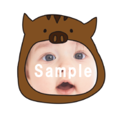 【顔はめ】猪のかぶりもの