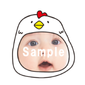 【顔はめ】鶏のかぶりもの