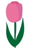 チューリップ（ピンク）2