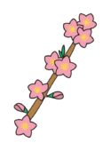 枝付きの桃の花1