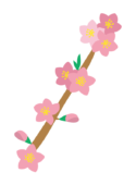 枝付きの桃の花2