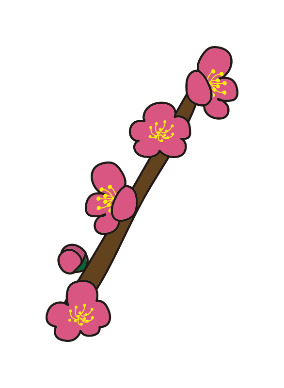 枝付きの梅の花1