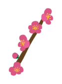 枝付きの梅の花2