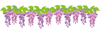 藤の花の枠2