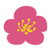 梅の花2