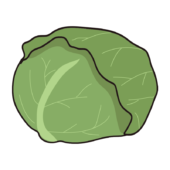 キャベツ