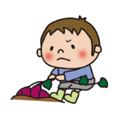 お芋掘りでツルを引っ張る子供（男の子）