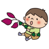 お芋掘りで後ろにひっくり返った子供（男の子）