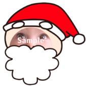 【顔はめ】サンタクロース