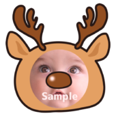 【顔はめ】トナカイ