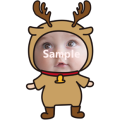 【顔はめ】全身トナカイ