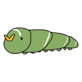 あげは蝶の幼虫