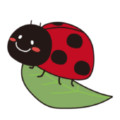 葉っぱに乗るほっぺの赤いてんとう虫