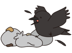 ゴミ置き場を荒らすカラス