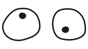 組み合わせて使ういろいろな目11