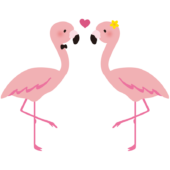 2羽のフラミンゴ2