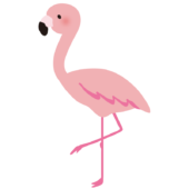フラミンゴ2