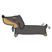 エサを待っている横向きのスムースダックスフント