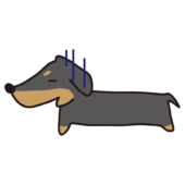 落ち込んでいる横向きのスムースダックスフント