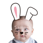 【顔はめ】うさぎの耳2