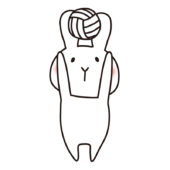 バレーをする白いうさぎ4