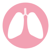 内臓のアイコン（肺）