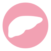 内臓のアイコン（肝臓）