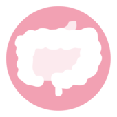 内臓のアイコン（腸）