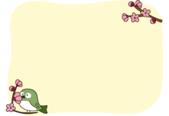 花の蜜を吸う目白の枠（横）