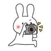 熱心にカメラで撮影する白いうさぎ