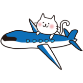 飛行機に乗る白い猫