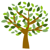 緑の葉が茂る夏の木