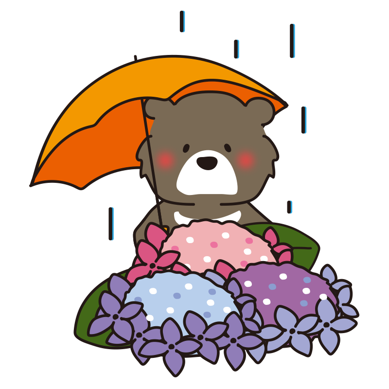 雨の日に傘をさして紫陽花を見つめるツキノワグマ