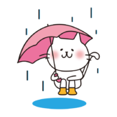 雨の日に傘をさす白い猫