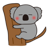 木に座って寝ているコアラ