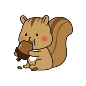 どんぐりを食べるリス